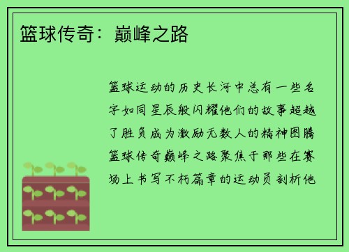 篮球传奇：巅峰之路